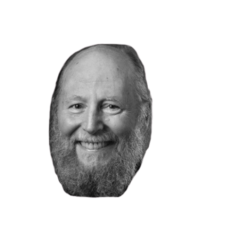 Professional portrait illustration